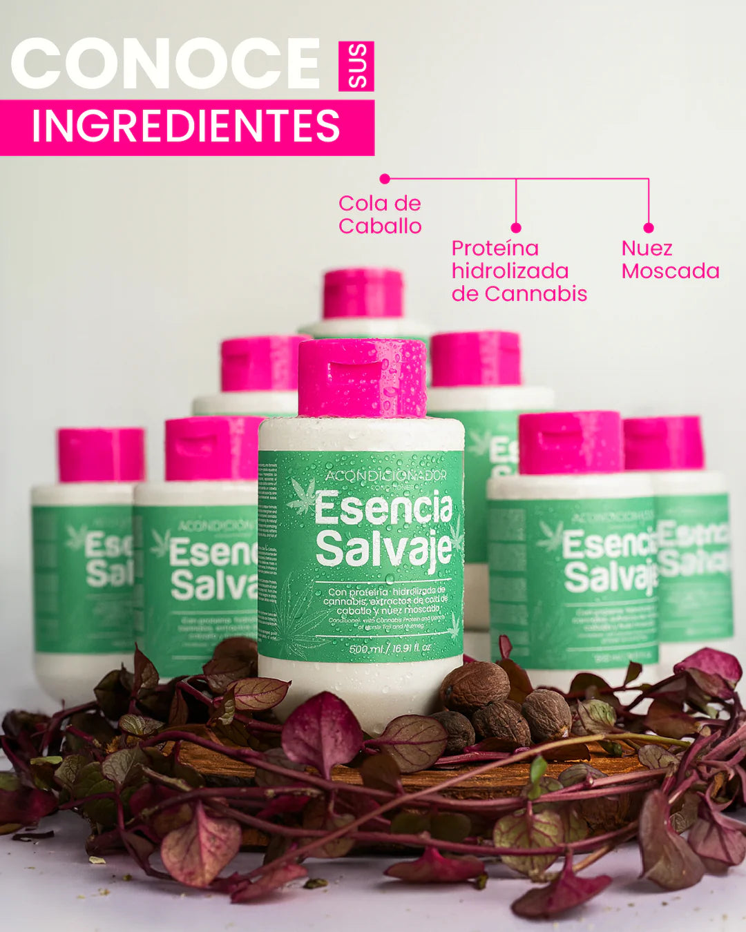 Esencia Salvaje Conditioner – Cannabis, Horsetail & Nutmeg